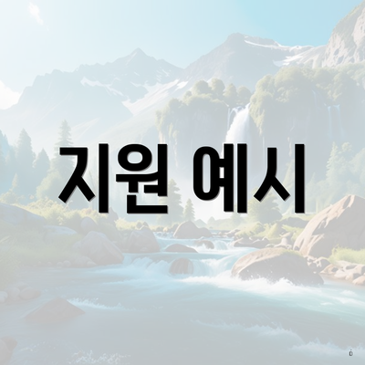 지원 예시