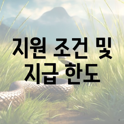 지원 조건 및 지급 한도