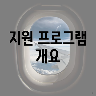 지원 프로그램 개요