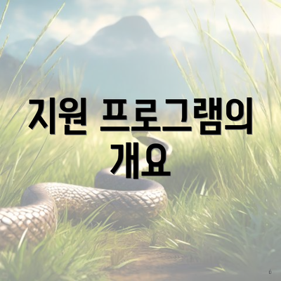 지원 프로그램의 개요