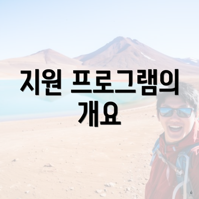 지원 프로그램의 개요