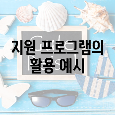 지원 프로그램의 활용 예시