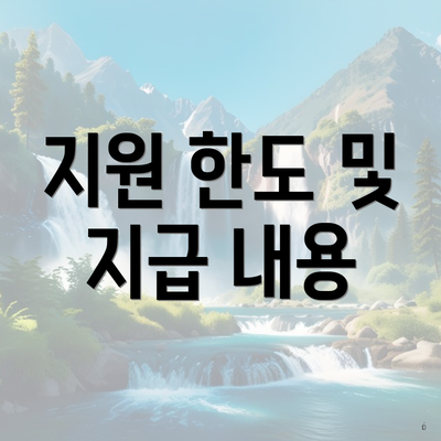 지원 한도 및 지급 내용