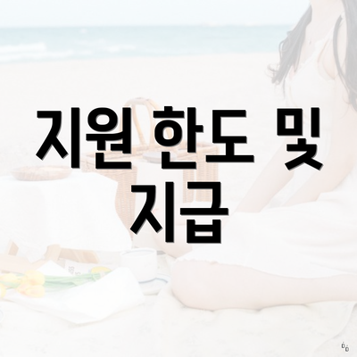 지원 한도 및 지급