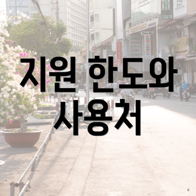지원 한도와 사용처