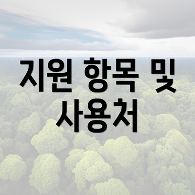 지원 항목 및 사용처
