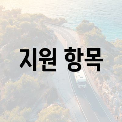 지원 항목