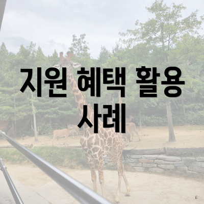 지원 혜택 활용 사례