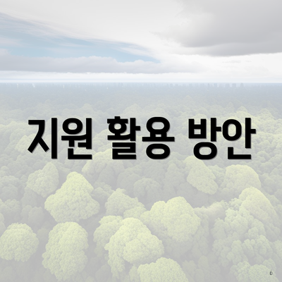 지원 활용 방안
