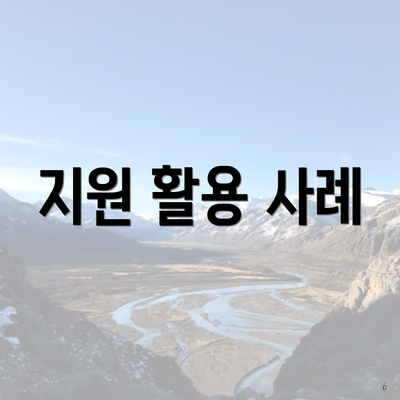 지원 활용 사례