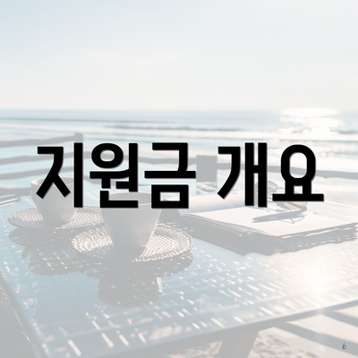 지원금 개요