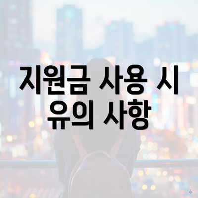 지원금 사용 시 유의 사항