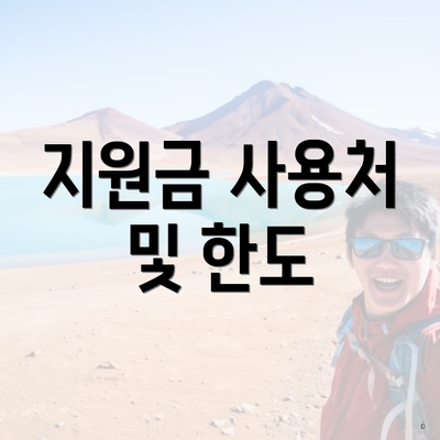 지원금 사용처 및 한도