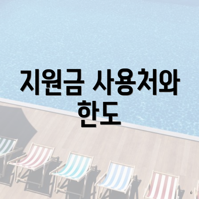 지원금 사용처와 한도