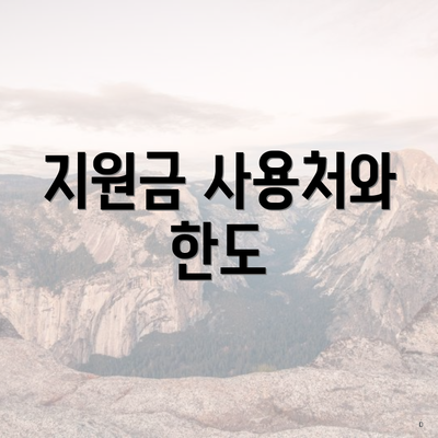 지원금 사용처와 한도