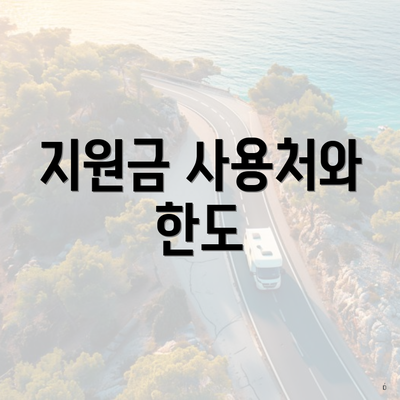 지원금 사용처와 한도
