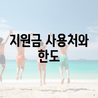 지원금 사용처와 한도