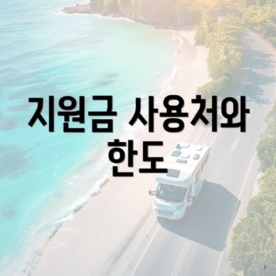 지원금 사용처와 한도