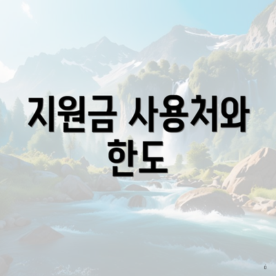 지원금 사용처와 한도