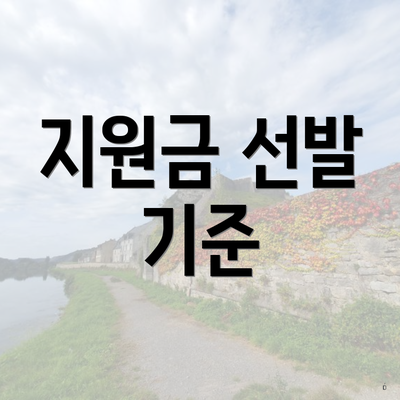 지원금 선발 기준