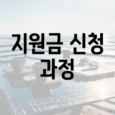 지원금 신청 과정