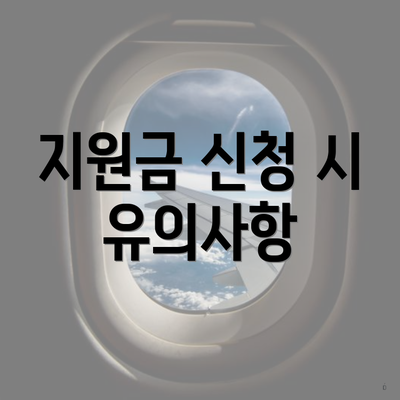 지원금 신청 시 유의사항