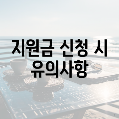 지원금 신청 시 유의사항