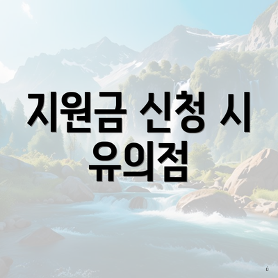 지원금 신청 시 유의점
