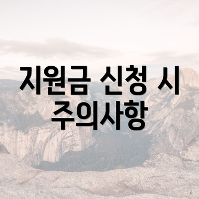 지원금 신청 시 주의사항