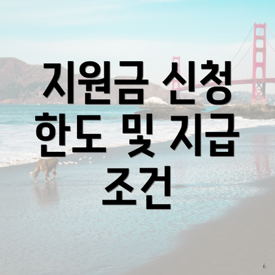 지원금 신청 한도 및 지급 조건