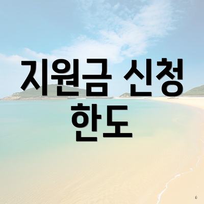 지원금 신청 한도