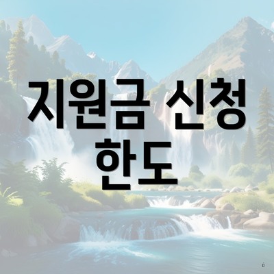 지원금 신청 한도
