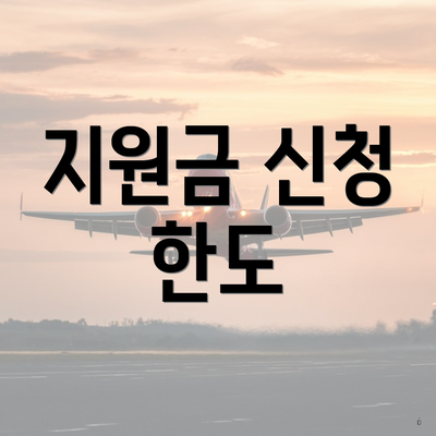 지원금 신청 한도