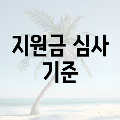 지원금 심사 기준