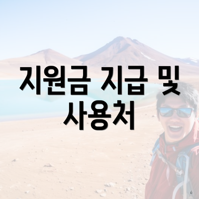 지원금 지급 및 사용처