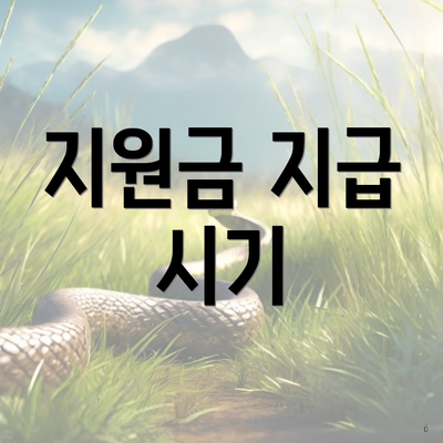 지원금 지급 시기
