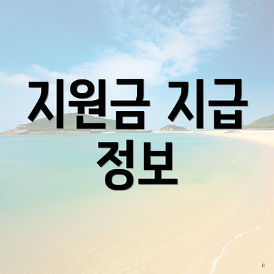 지원금 지급 정보