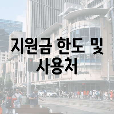 지원금 한도 및 사용처