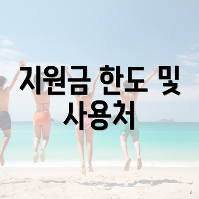 지원금 한도 및 사용처