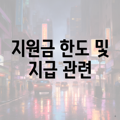 지원금 한도 및 지급 관련