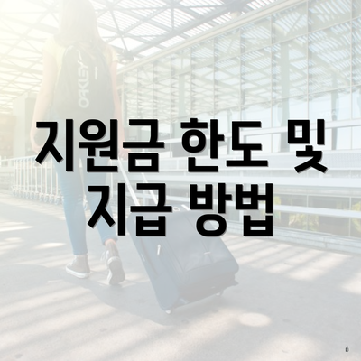 지원금 한도 및 지급 방법