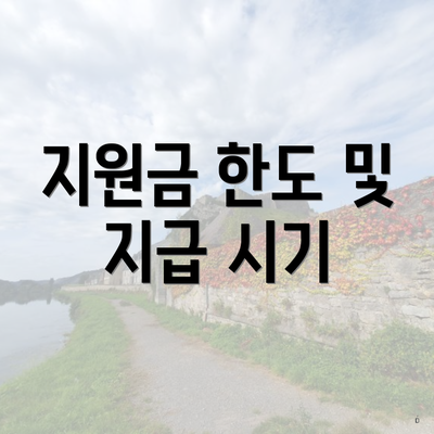 지원금 한도 및 지급 시기