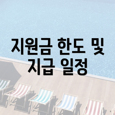 지원금 한도 및 지급 일정