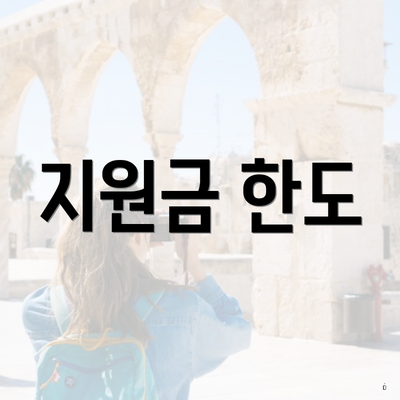지원금 한도