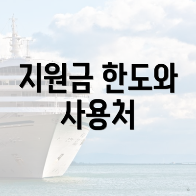 지원금 한도와 사용처