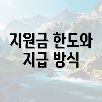 지원금 한도와 지급 방식