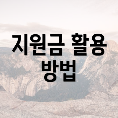 지원금 활용 방법
