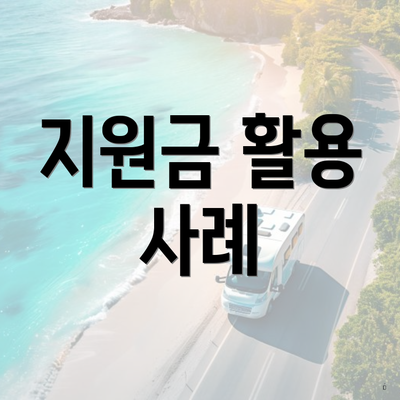 지원금 활용 사례
