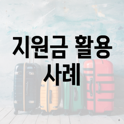 지원금 활용 사례
