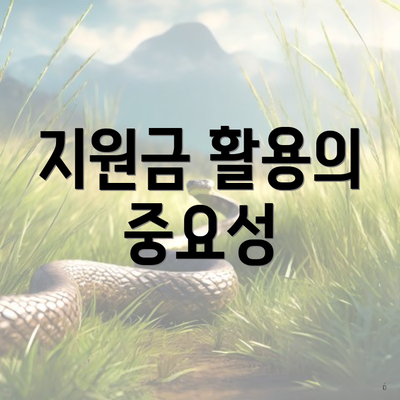 지원금 활용의 중요성